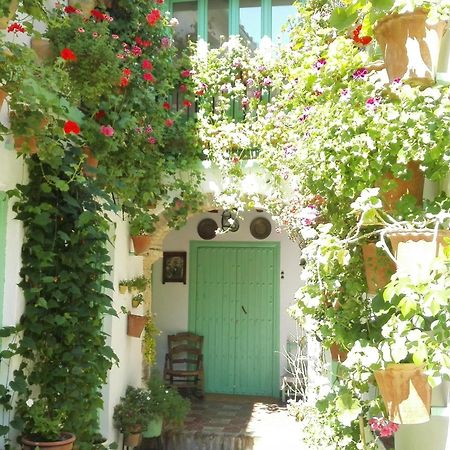 La Casa De La Costurera Daire Cordoba Dış mekan fotoğraf
