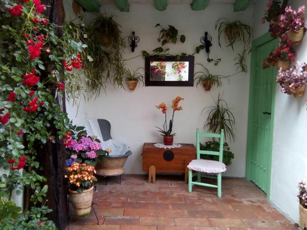La Casa De La Costurera Daire Cordoba Dış mekan fotoğraf